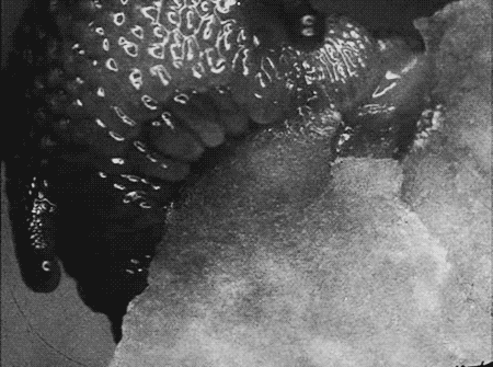 Acid Gifdump, October 08, 2014 (25 gifs)