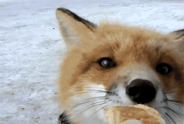 Acid Gifdump, October 08, 2014 (25 gifs)