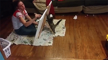 Acid Gifdump, October 08, 2014 (25 gifs)