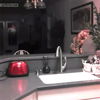 Acid Gifdump, October 08, 2014 (25 gifs)