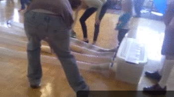 Acid Gifdump, October 08, 2014 (25 gifs)