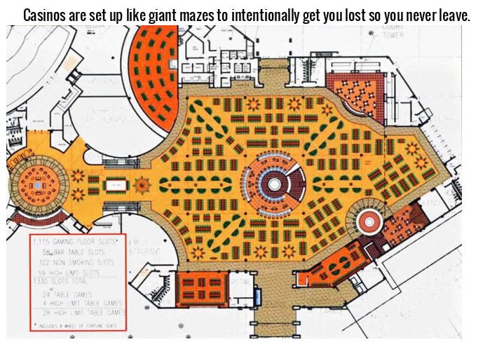 Facts You Probably Didn't Know About Gambling (17 pics)