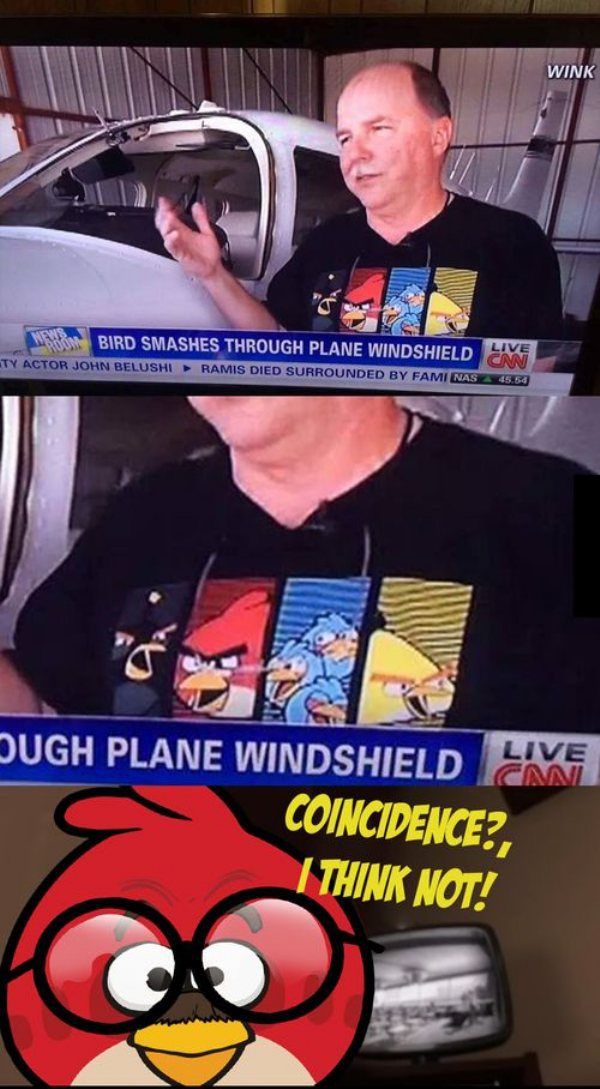 Weird Local News Captions. Part 11 (33 pics)