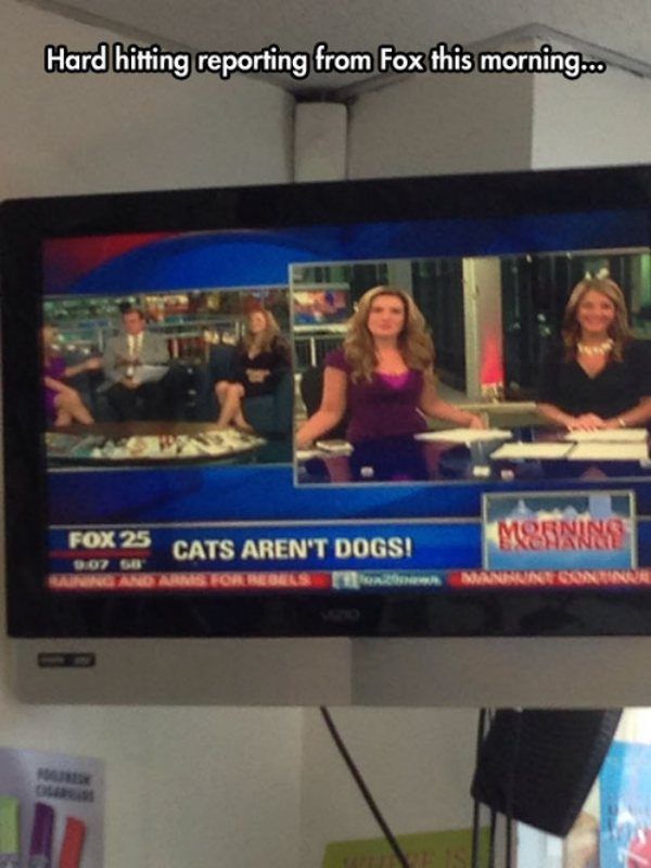 Weird Local News Captions. Part 11 (33 pics)