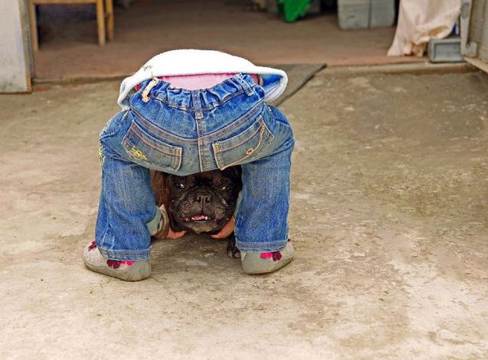 Acid Picdump (118 pics)