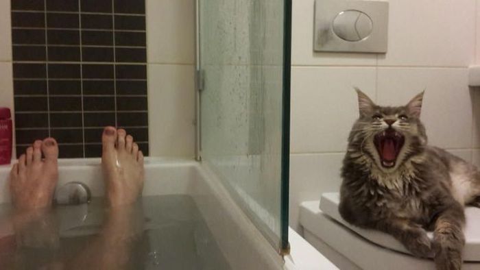 Acid Picdump (118 pics)