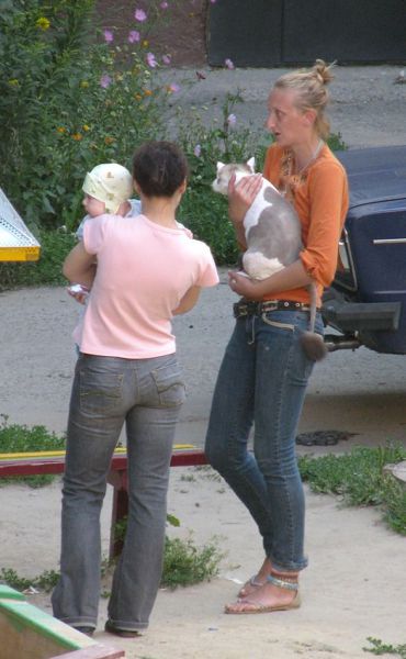 Acid Picdump (118 pics)