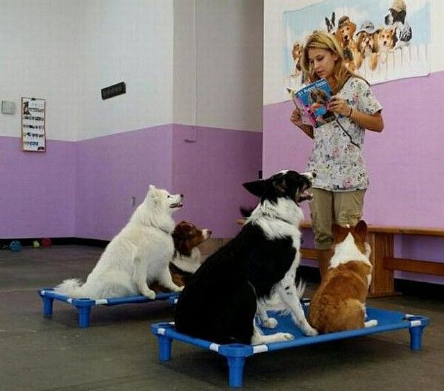 Acid Picdump (118 pics)