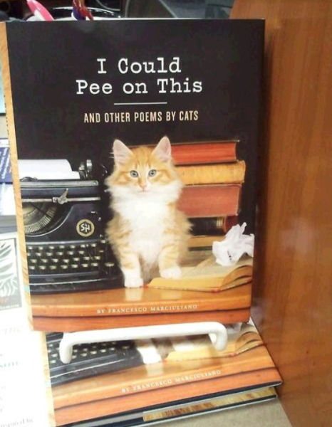 Acid Picdump (118 pics)