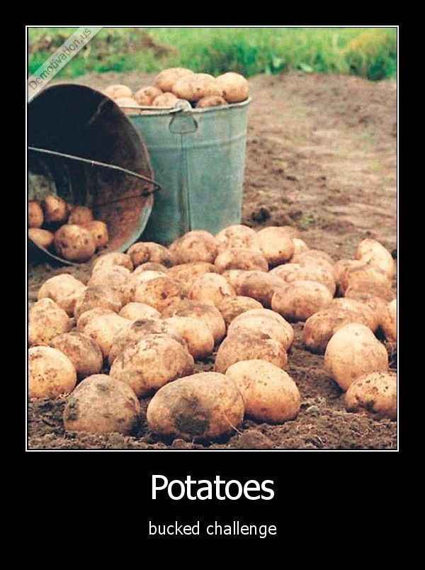 All The Demotivation You Need For Today (35 pics)