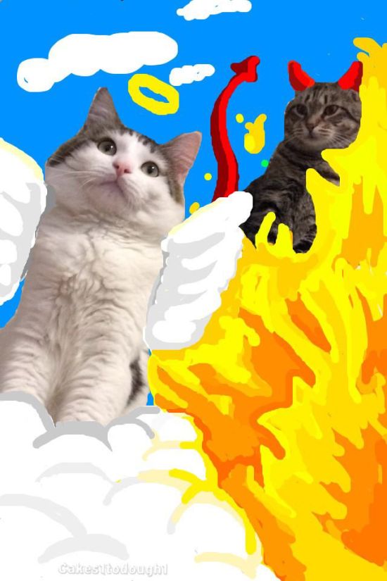 Guy Turns Snapchat Pictures Of Cats Into Masterpieces (35 pics)