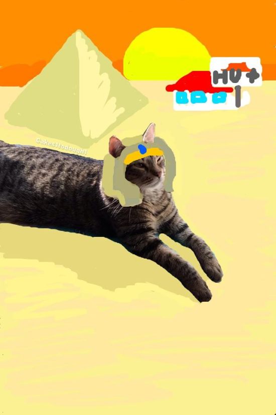 Guy Turns Snapchat Pictures Of Cats Into Masterpieces (35 pics)