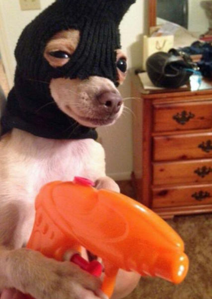 Acid Picdump (128 pics)