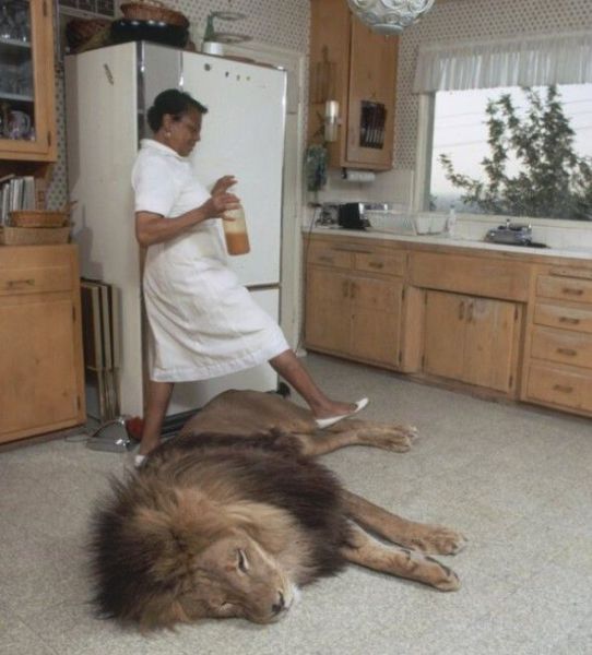 Acid Picdump (128 pics)