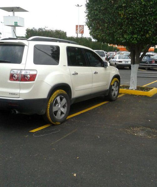 Acid Picdump (128 pics)