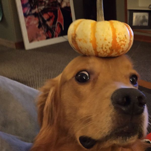 Acid Picdump (128 pics)