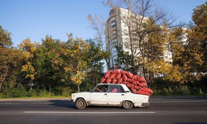 Russians Do What They Want (51 pics)
