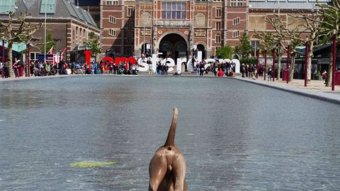 Acid Picdump (103 pics)