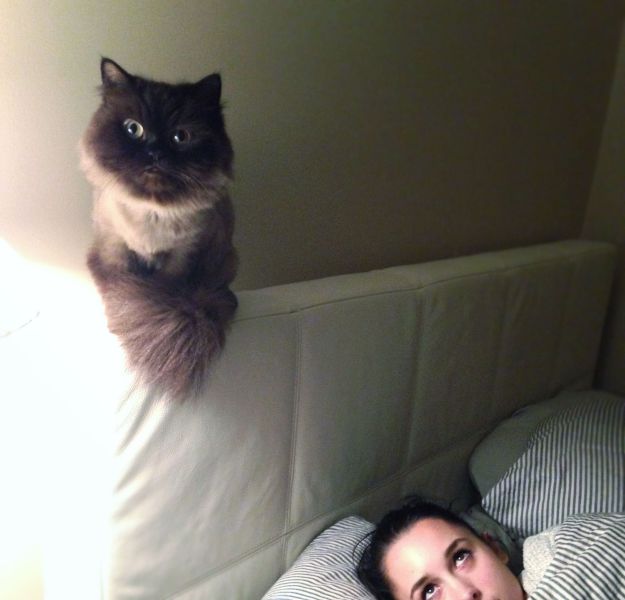Acid Picdump (103 pics)