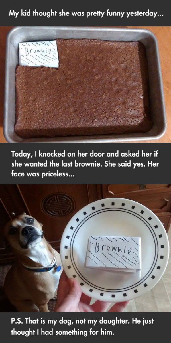 Acid Picdump (103 pics) Acid Picdump (103 pics)