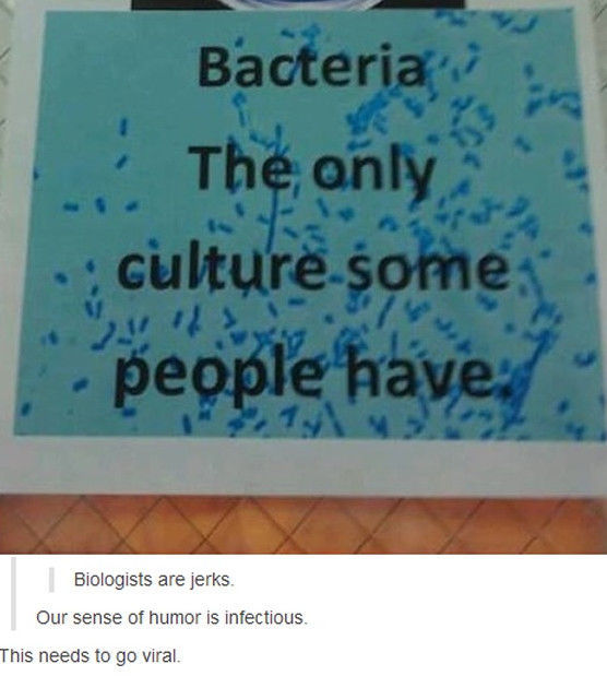 Acid Picdump (103 pics)