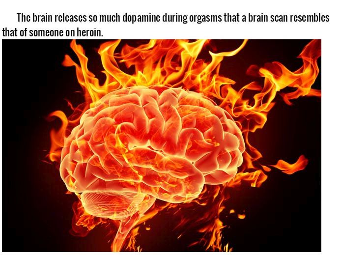 Things You Didn't Know Effect Your Brain In A Big Way (15 pics)