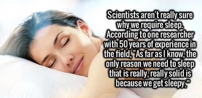 Your Brain Is Going To Love These Fun Facts (34 pics)