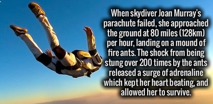 Your Brain Is Going To Love These Fun Facts (34 pics)