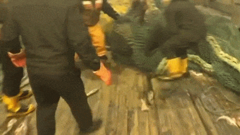 Acid Gifdump, October 15, 2014 (25 gifs)