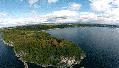 Acid Gifdump, October 15, 2014 (25 gifs)