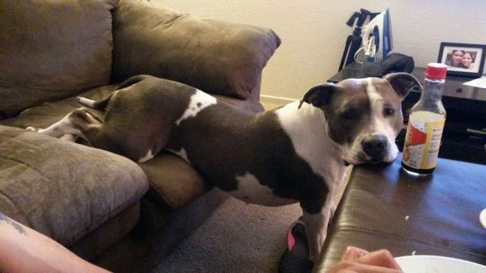 Acid Picdump (112 pics)