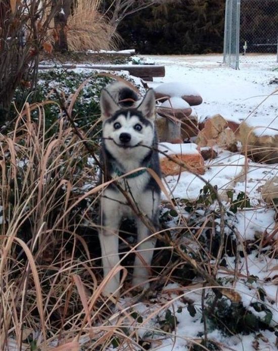 Acid Picdump (112 pics)