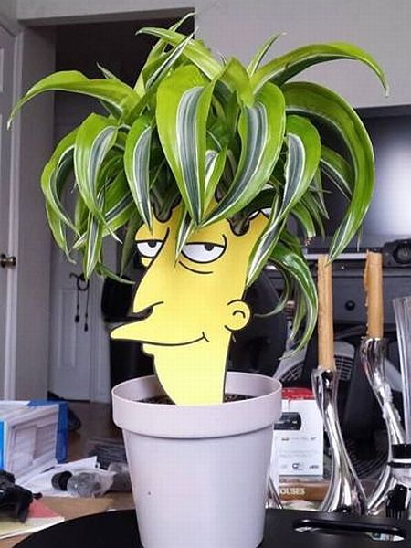 Acid Picdump (112 pics)