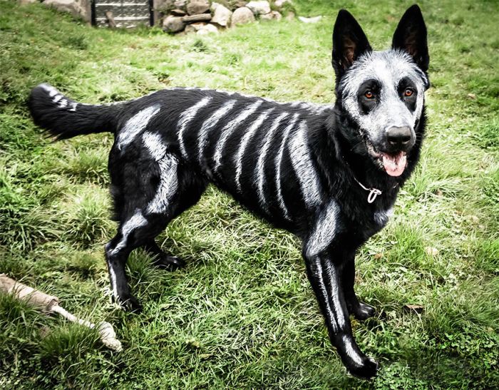 Acid Picdump (112 pics)
