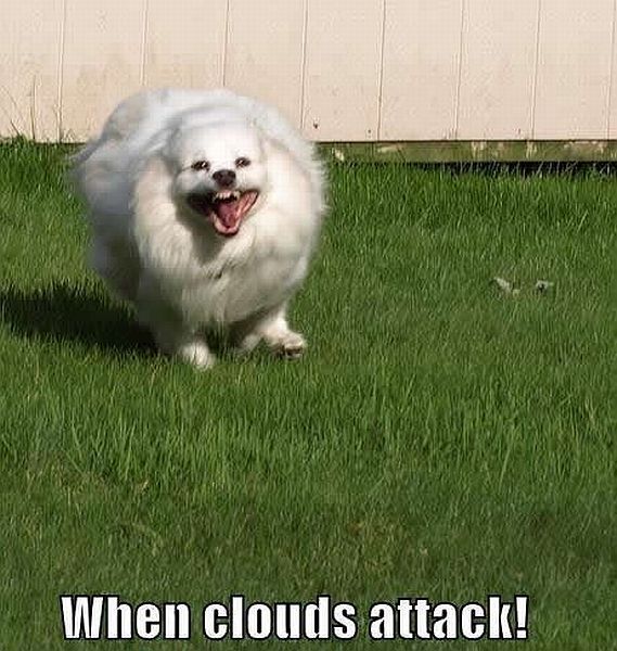 Acid Picdump (112 pics)
