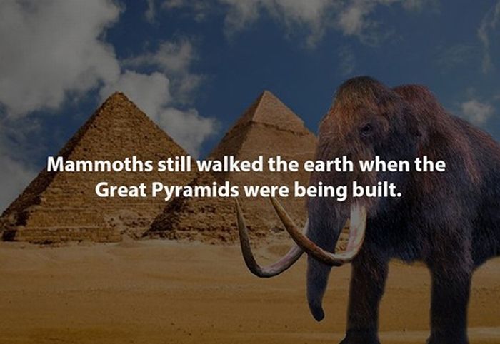 Epiphanies That Will Blow Your Mind (29 pics)