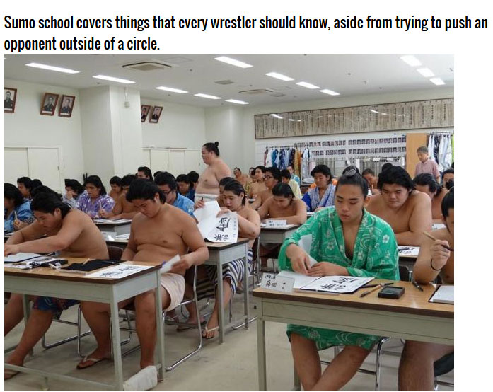 This Is What it Takes To Become A Sumo Wrestler (8 pics)