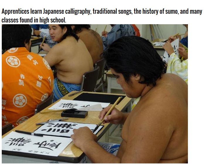 This Is What it Takes To Become A Sumo Wrestler (8 pics)