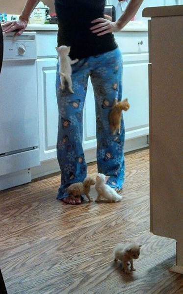 Acid Picdump (106 pics)