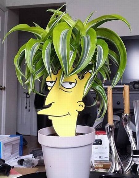 Acid Picdump (106 pics)
