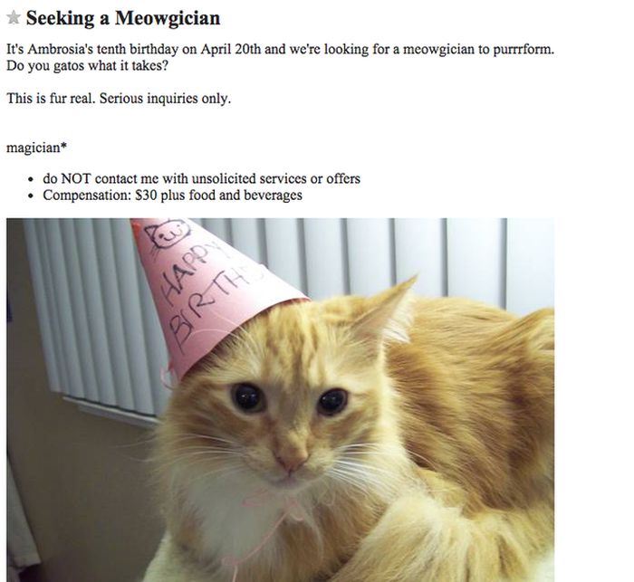 The Strangest Craigslist Ads Ever Created (23 pics)