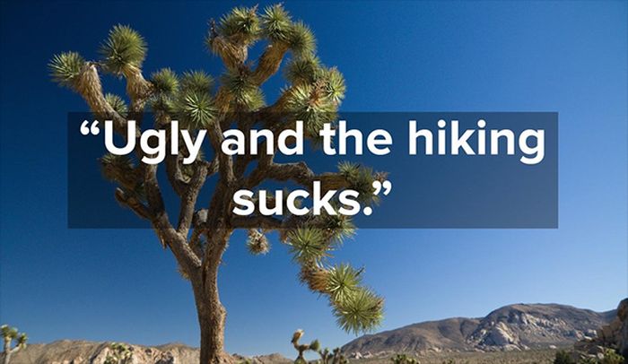 When National Parks Get Bad Reviews On Yelp (10 pics)
