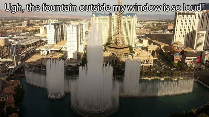 These Are Some Serious First World Problems (15 pics)