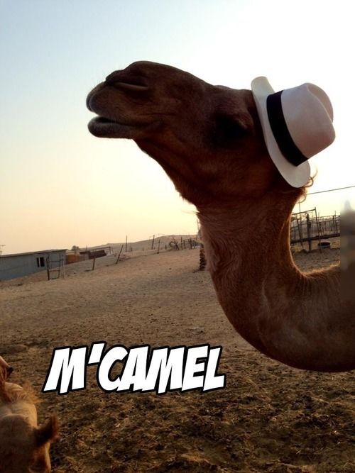 Acid Picdump (100 pics)