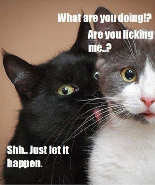 Acid Picdump (100 pics)