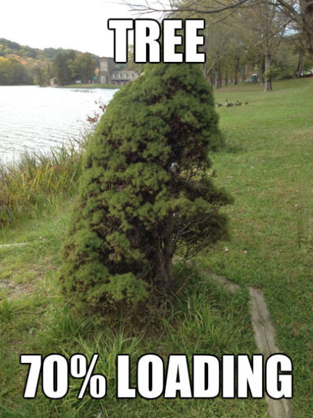 Acid Picdump (100 pics)