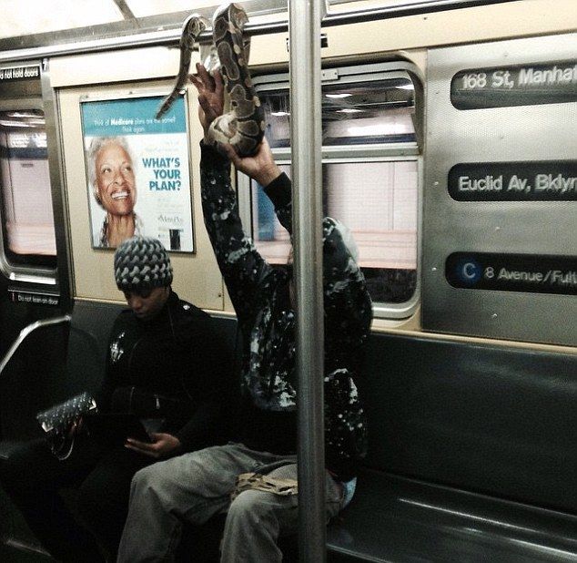Acid Picdump (100 pics)