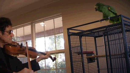 Acid Gifdump, October 20, 2014 (25 gifs)