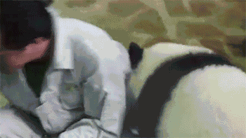 Acid Gifdump, October 20, 2014 (25 gifs)