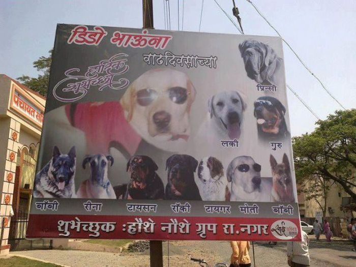Things You Will Only See In India (49 pics)